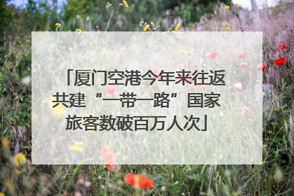 厦门空港今年来往返共建“一带一路”国家旅客数破百万人次