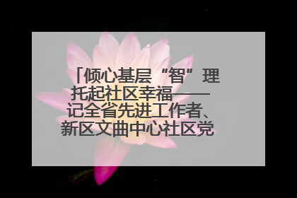 倾心基层“智”理 托起社区幸福——记全省先进工作者、新区文曲中心社区党委书记董世弘