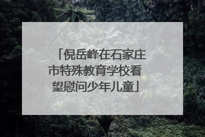 倪岳峰在石家庄市特殊教育学校看望慰问少年儿童