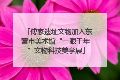傅家遗址文物加入东营市美术馆“一眼千年”文物科技美学展