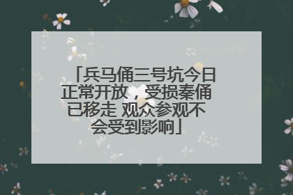 兵马俑三号坑今日正常开放，受损秦俑已移走 观众参观不会受到影响