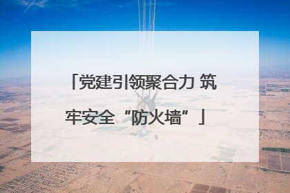 党建引领聚合力 筑牢安全“防火墙”