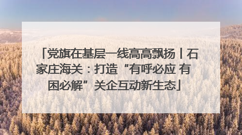 党旗在基层一线高高飘扬丨石家庄海关：打造“有呼必应 有困必解”关企互动新生态