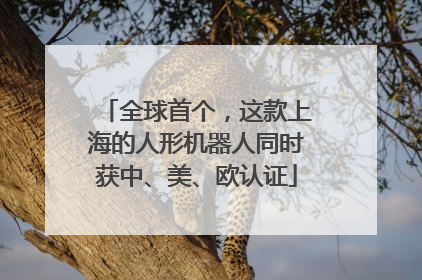 全球首个，这款上海的人形机器人同时获中、美、欧认证