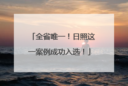 全省唯一！日照这一案例成功入选！