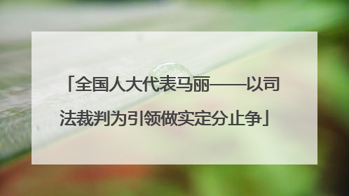 全国人大代表马丽——以司法裁判为引领做实定分止争