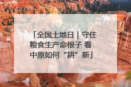 全国土地日｜守住粮食生产命根子 看中原如何“耕”新