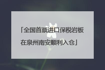 全国首票进口保税岩板在泉州南安顺利入仓