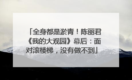 全身都是淤青！陈丽君《我的大观园》幕后：面对滚楼梯，没有做不到