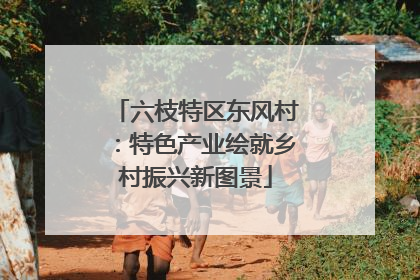 六枝特区东风村：特色产业绘就乡村振兴新图景