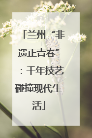 兰州“非遗正青春”：千年技艺碰撞现代生活