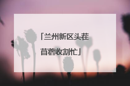 兰州新区头茬苜蓿收割忙
