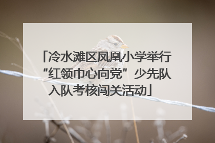 冷水滩区凤凰小学举行“红领巾心向党”少先队入队考核闯关活动