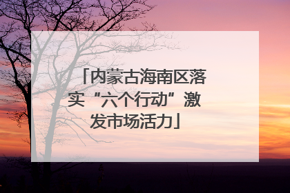 内蒙古海南区落实“六个行动”激发市场活力