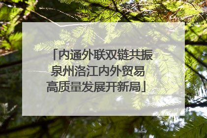 内通外联双链共振 泉州洛江内外贸易高质量发展开新局