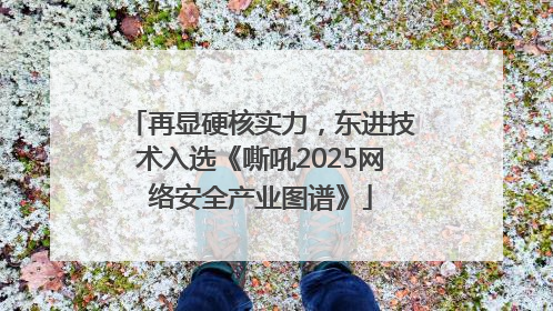 再显硬核实力，东进技术入选《嘶吼2025网络安全产业图谱》