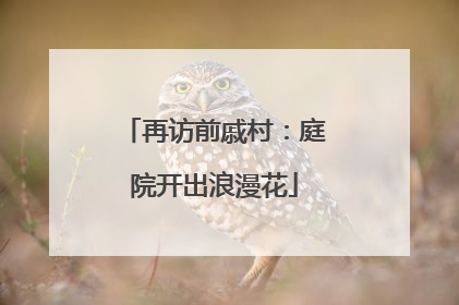 再访前戚村：庭院开出浪漫花