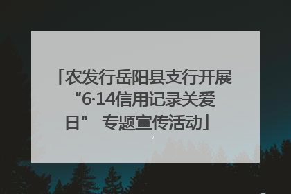 农发行岳阳县支行开展“6·14信用记录关爱日” 专题宣传活动