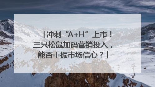 冲刺“A+H”上市！三只松鼠加码营销投入，能否重振市场信心？