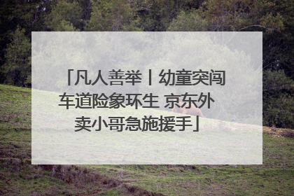 凡人善举丨幼童突闯车道险象环生 京东外卖小哥急施援手