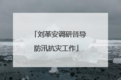 刘革安调研督导防汛抗灾工作