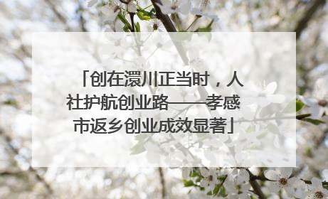 创在澴川正当时，人社护航创业路——孝感市返乡创业成效显著