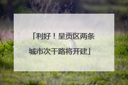 利好！呈贡区两条城市次干路将开建