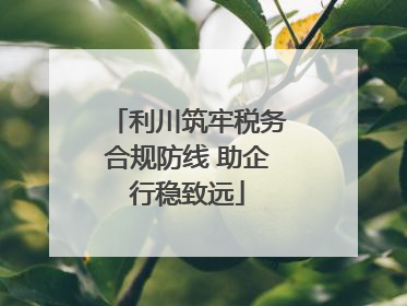 利川筑牢税务合规防线 助企行稳致远