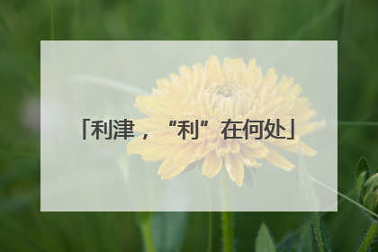 利津，“利”在何处