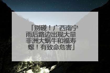 别碰！广西南宁雨后路边出现大量非洲大蜗牛和福寿螺！有致命危害