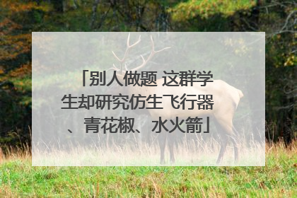 别人做题 这群学生却研究仿生飞行器、青花椒、水火箭