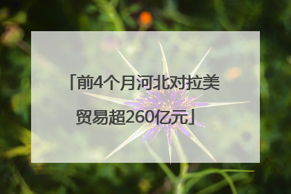 前4个月河北对拉美贸易超260亿元