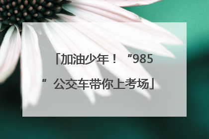 加油少年！“985”公交车带你上考场