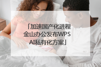 加速国产化进程 金山办公发布WPS AI私有化方案