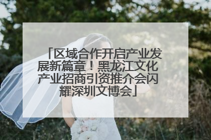 区域合作开启产业发展新篇章！黑龙江文化产业招商引资推介会闪耀深圳文博会