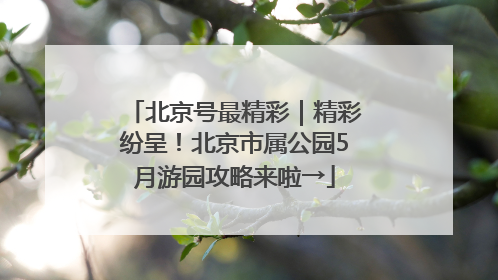北京号最精彩｜精彩纷呈！北京市属公园5月游园攻略来啦→