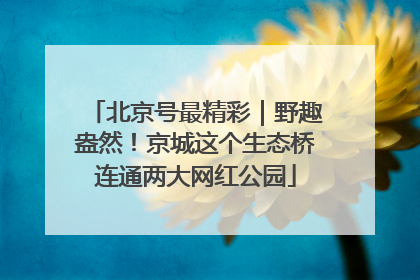 北京号最精彩｜野趣盎然！京城这个生态桥连通两大网红公园