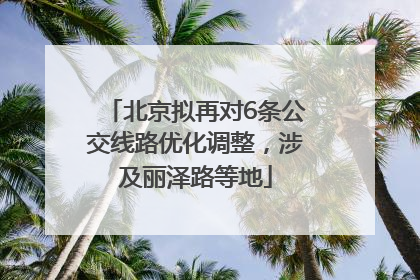 北京拟再对6条公交线路优化调整，涉及丽泽路等地