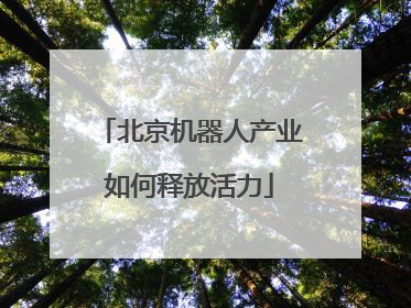 北京机器人产业如何释放活力