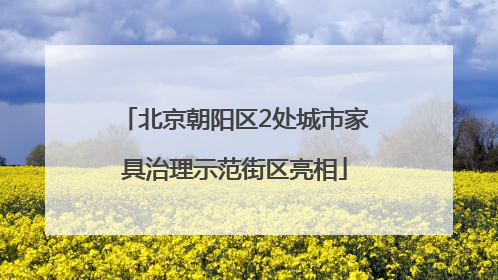 北京朝阳区2处城市家具治理示范街区亮相