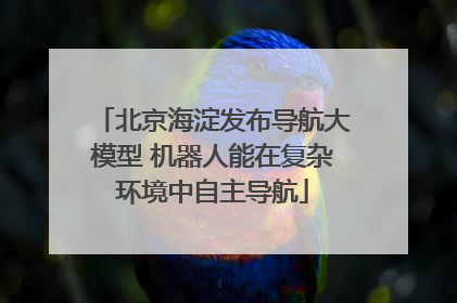 北京海淀发布导航大模型 机器人能在复杂环境中自主导航