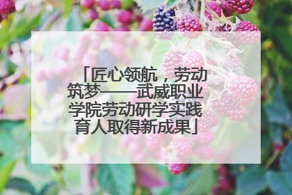 匠心领航，劳动筑梦——武威职业学院劳动研学实践育人取得新成果