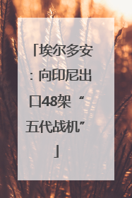 埃尔多安：向印尼出口48架“五代战机”
