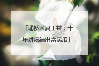 埇桥区夏王村：十年耕耘结出富民瓜