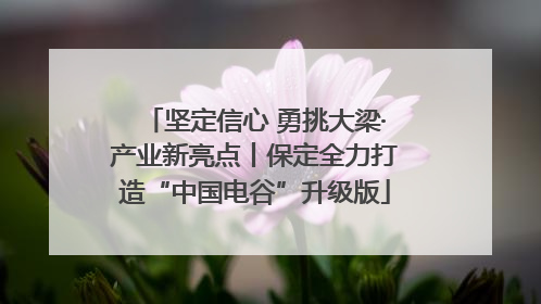 坚定信心 勇挑大梁·产业新亮点丨保定全力打造“中国电谷”升级版