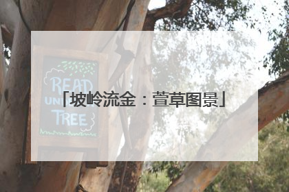 坡岭流金：萱草图景