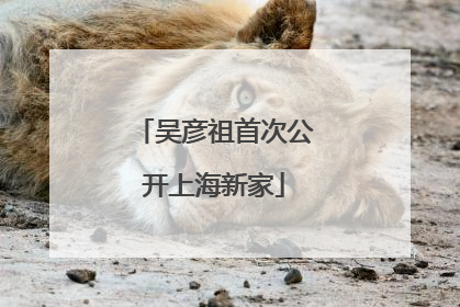 吴彦祖首次公开上海新家