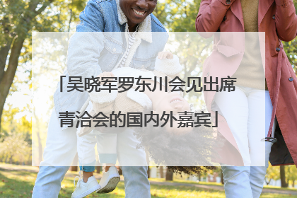 吴晓军罗东川会见出席青洽会的国内外嘉宾