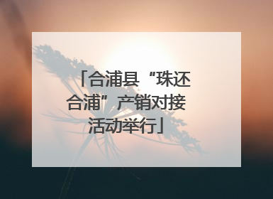 合浦县“珠还合浦”产销对接活动举行