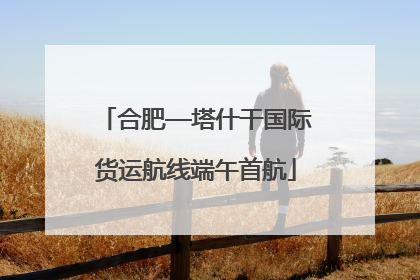 合肥—塔什干国际货运航线端午首航